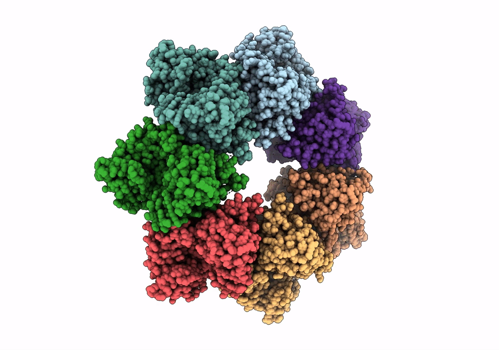 7T8C image