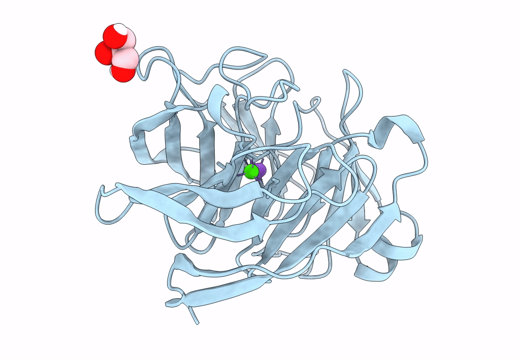 7T8D image