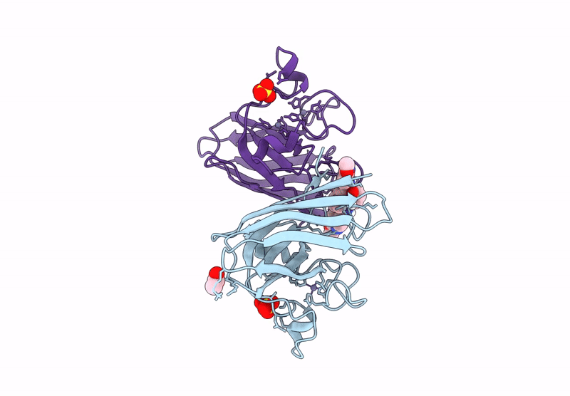 7T8H image
