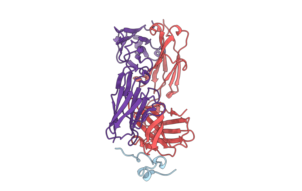 7T8W image
