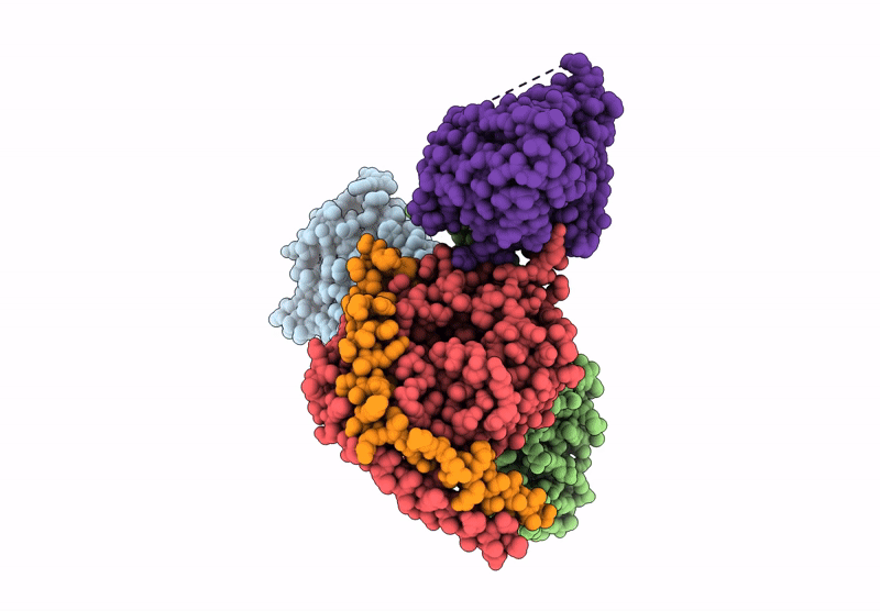 7T8X image