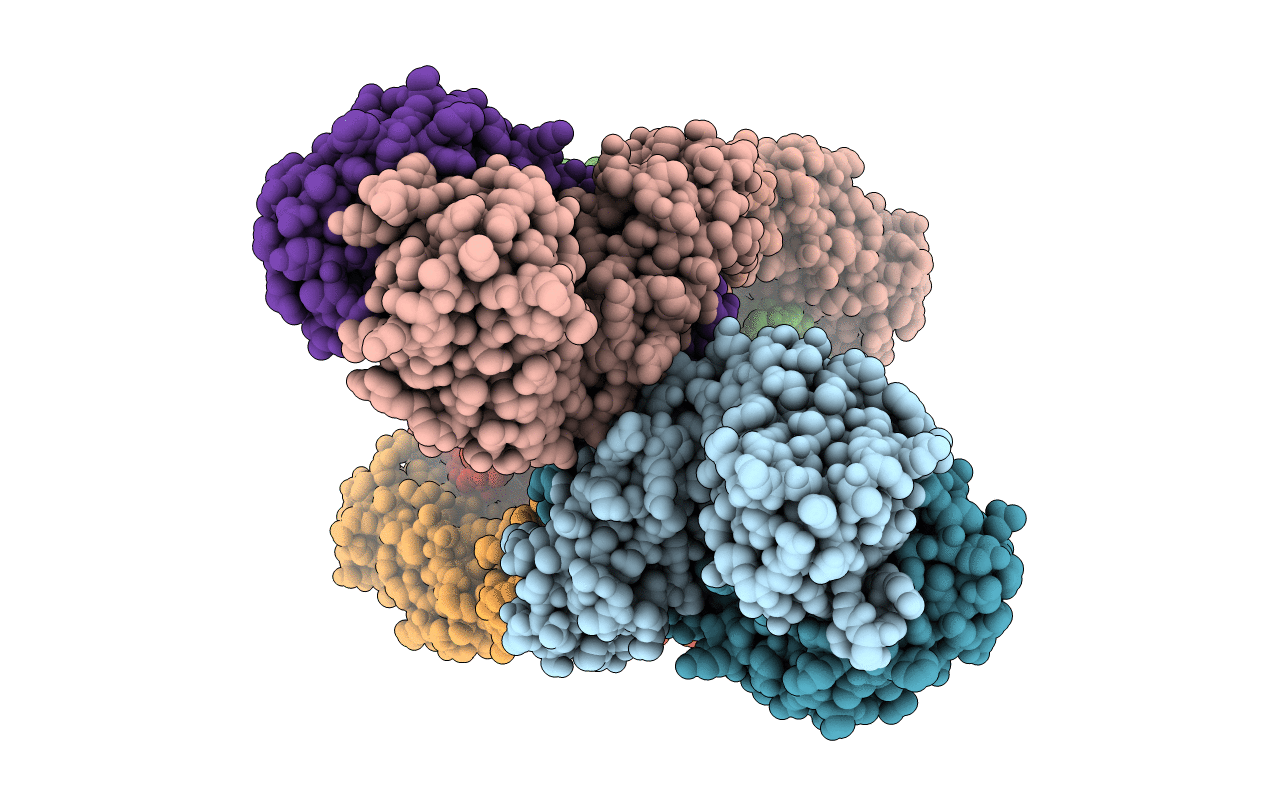 7T97 image