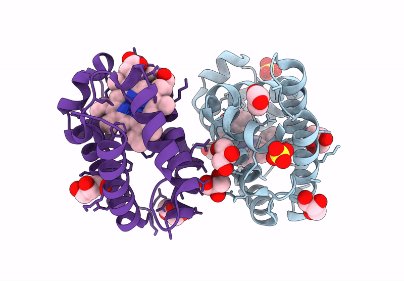 7T9C image