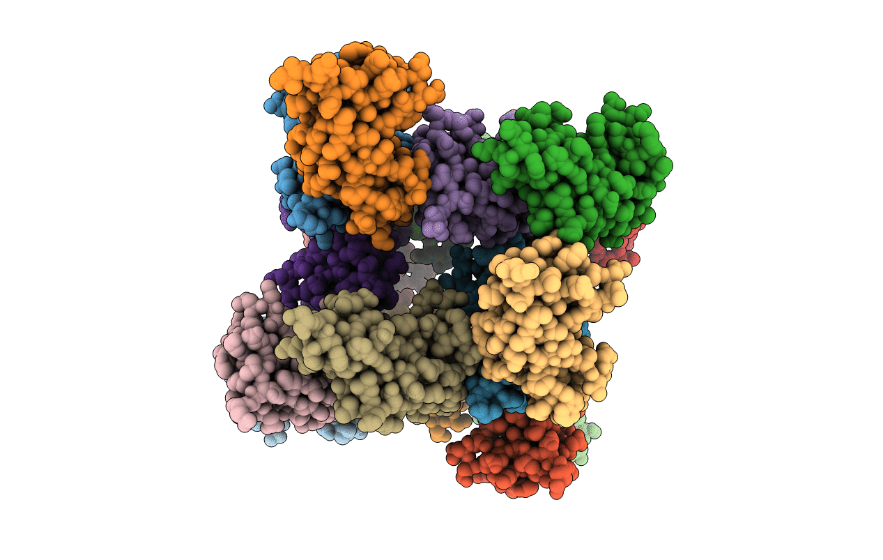 7T9W image