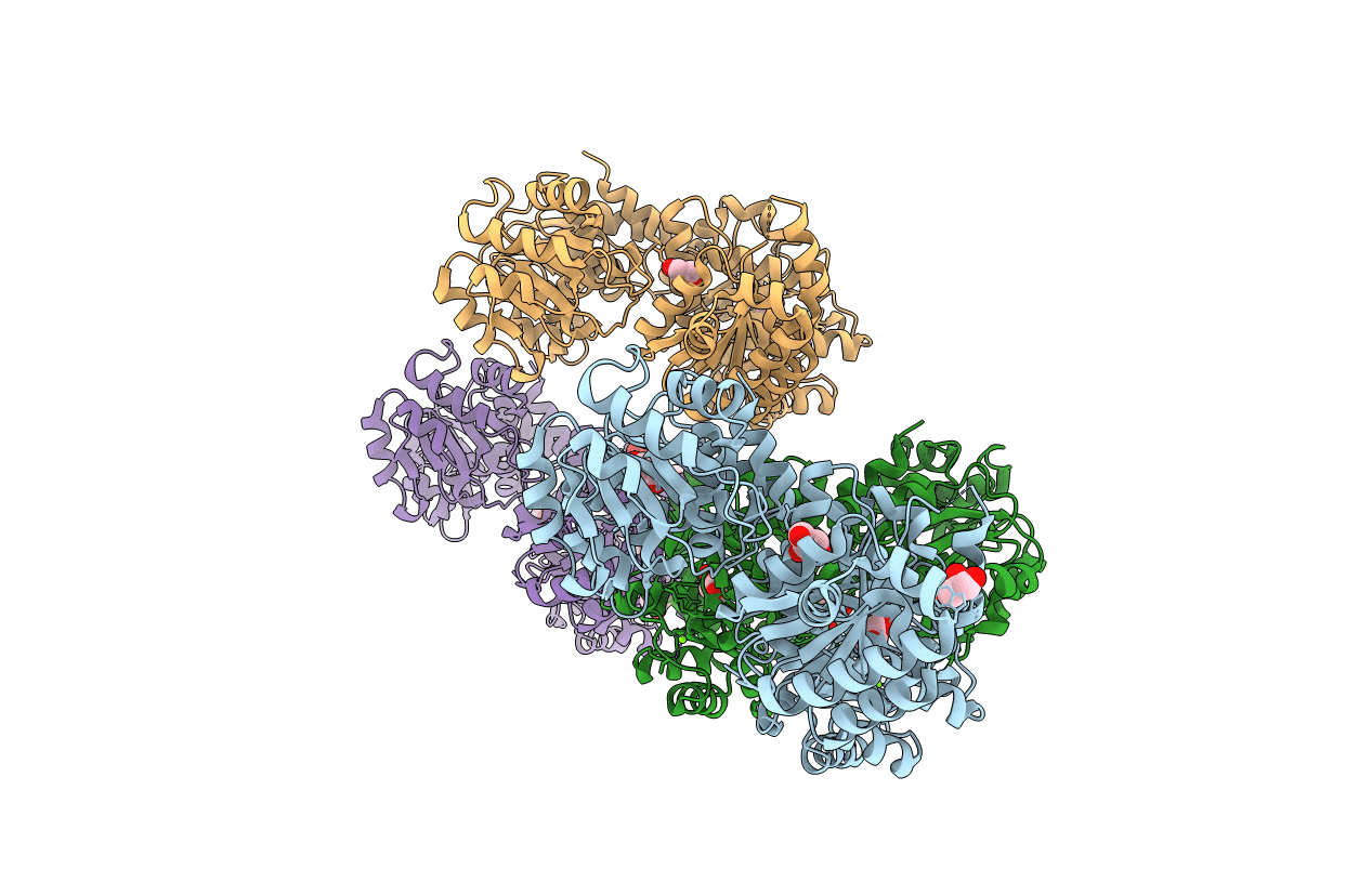 7TBV image