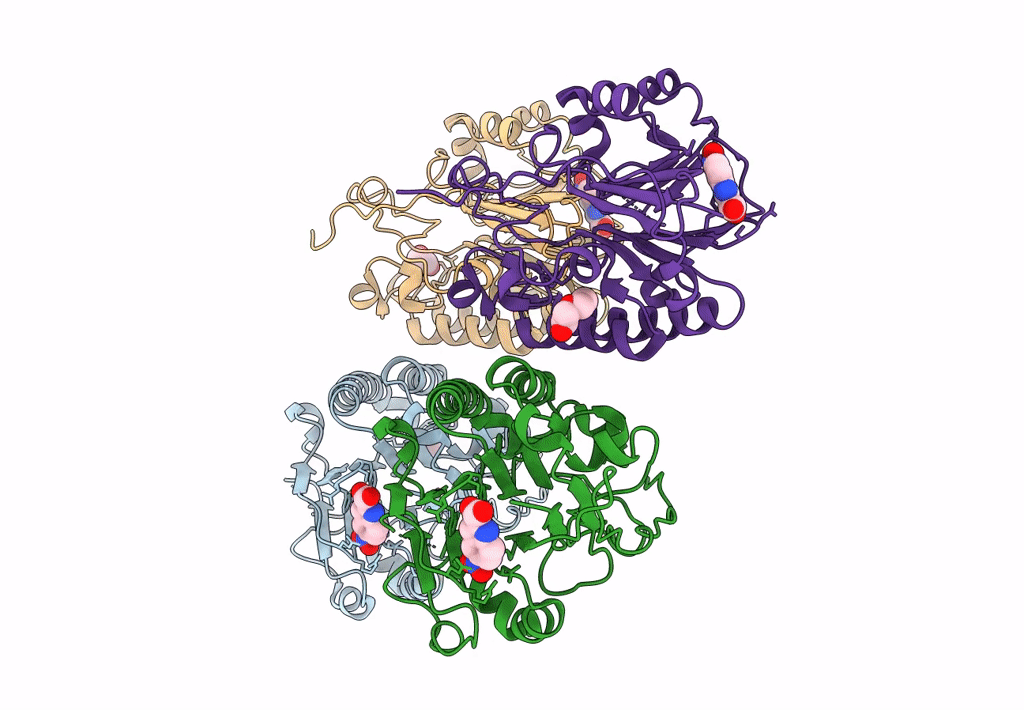 7TC2 image