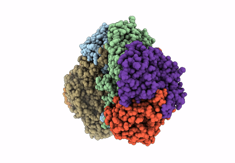 7TC8 image