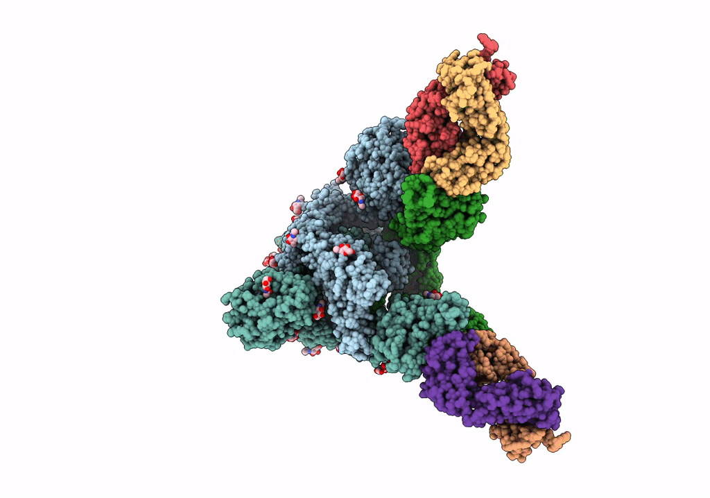 7TCA image