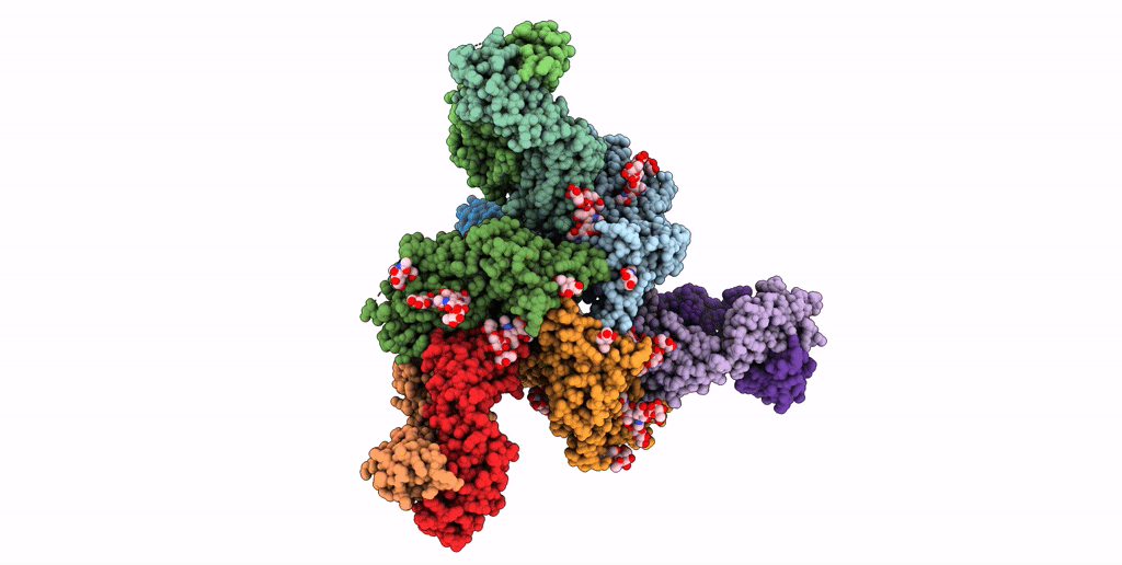7TCN image