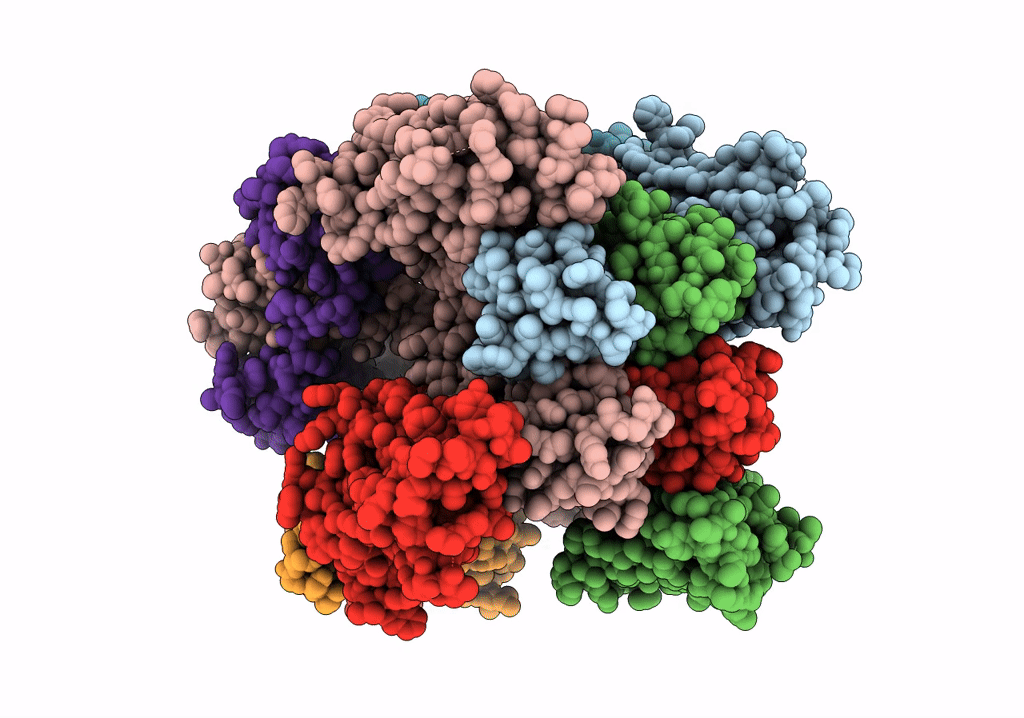 7TCP image