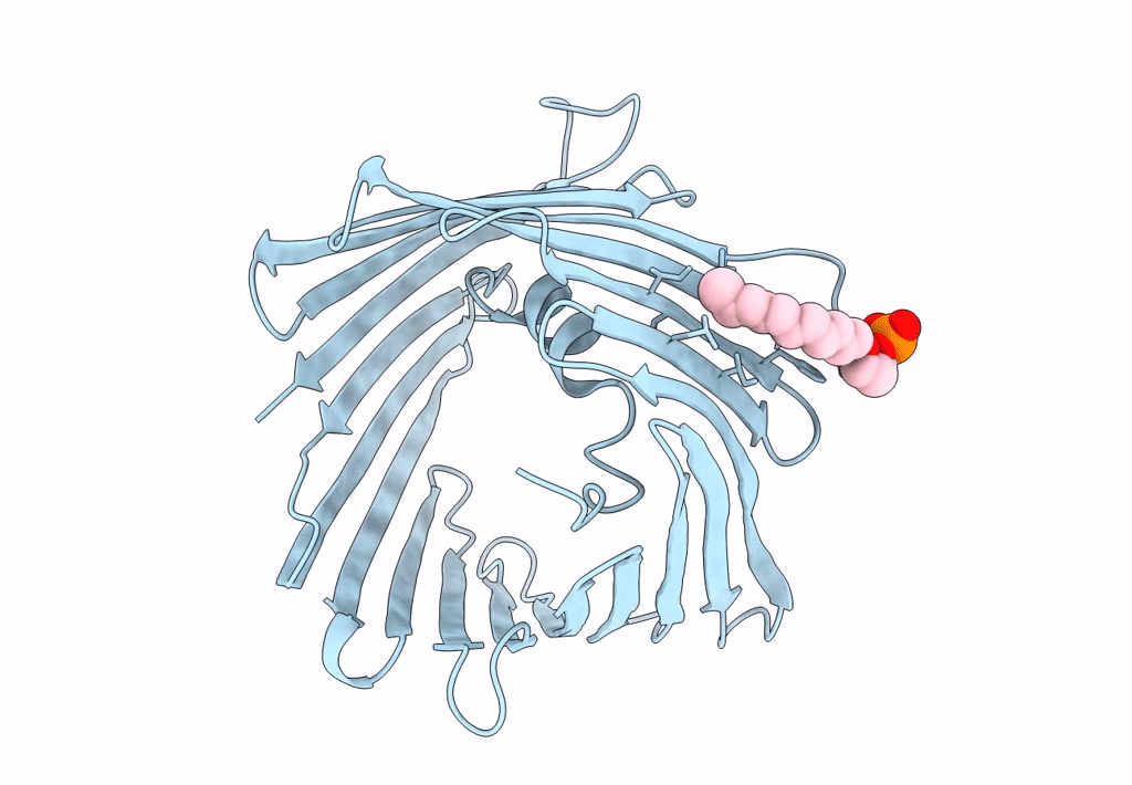 7TCV image