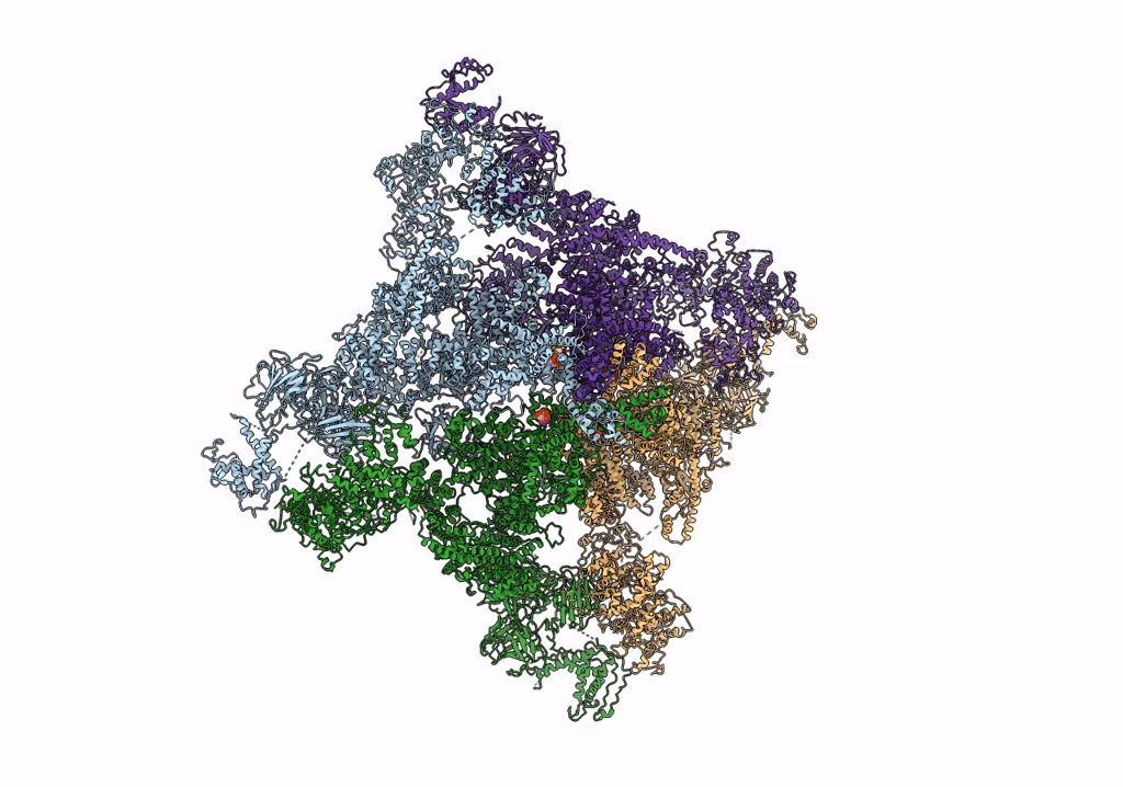 7TDJ image