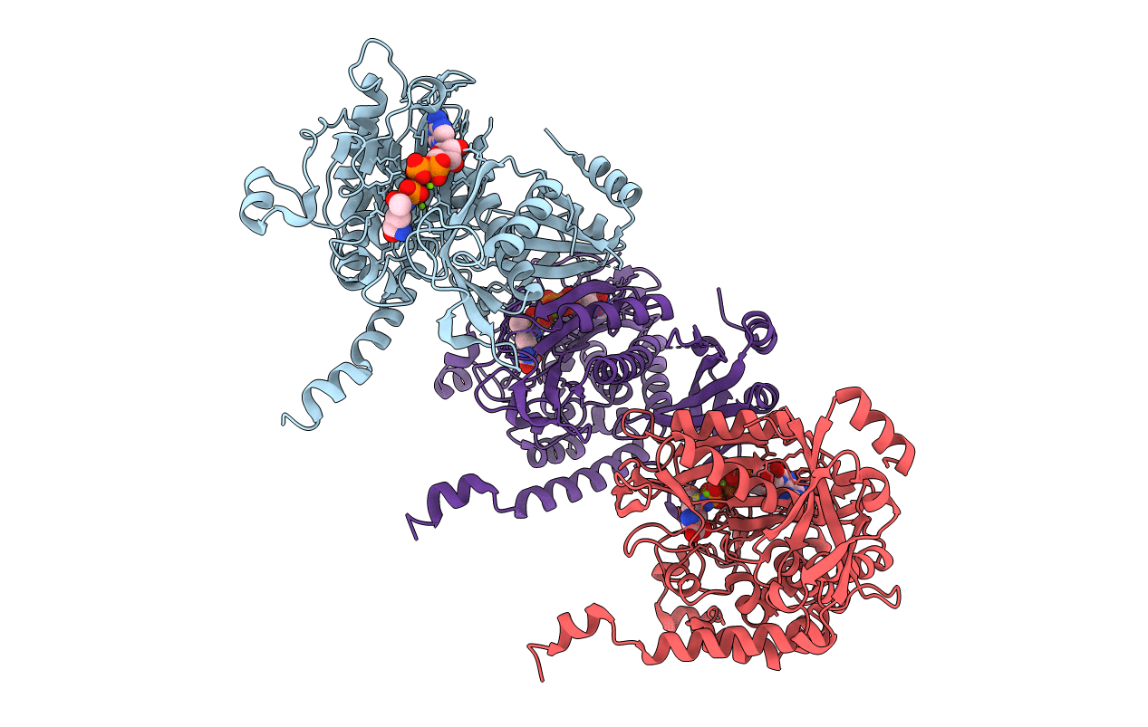7TDP image