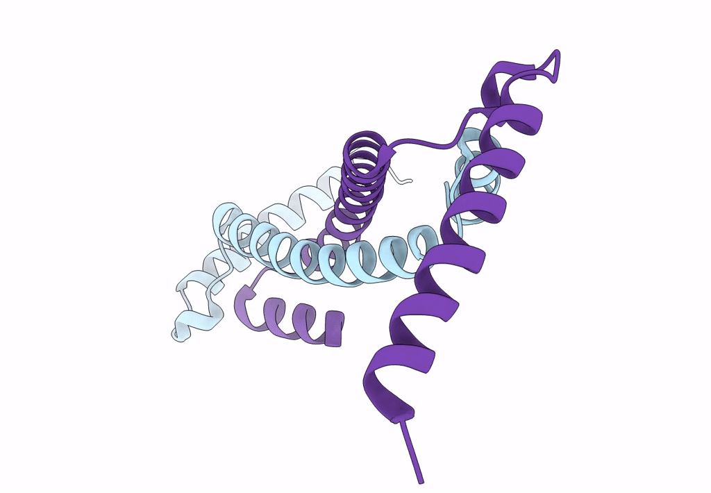 7TDQ image