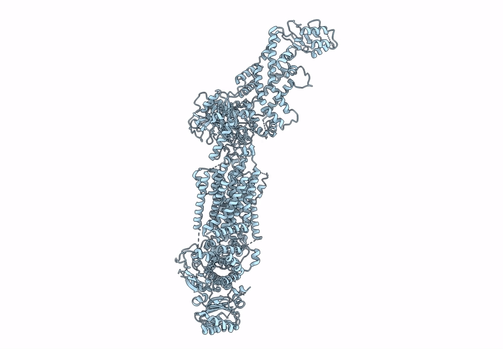 7TDT image