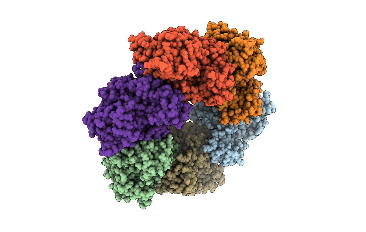 7TDV image