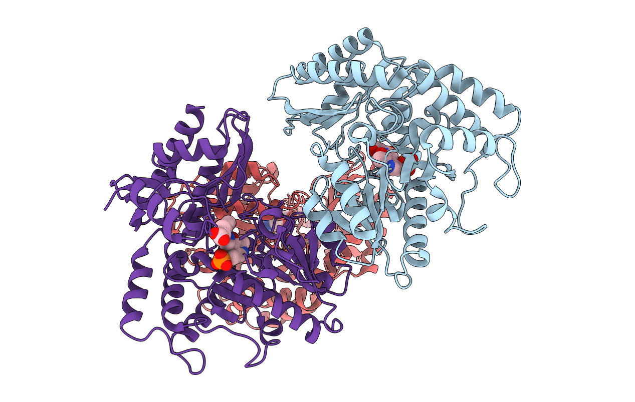 7TEV image