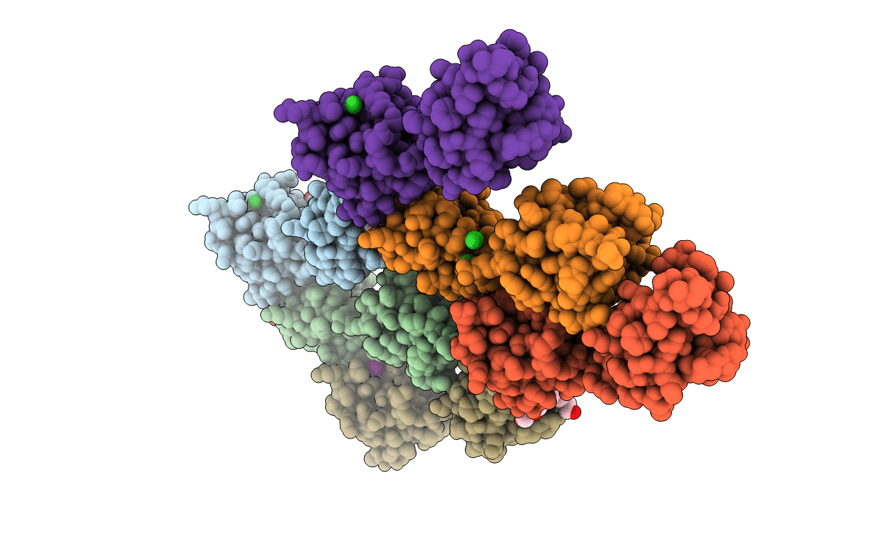 7THH image