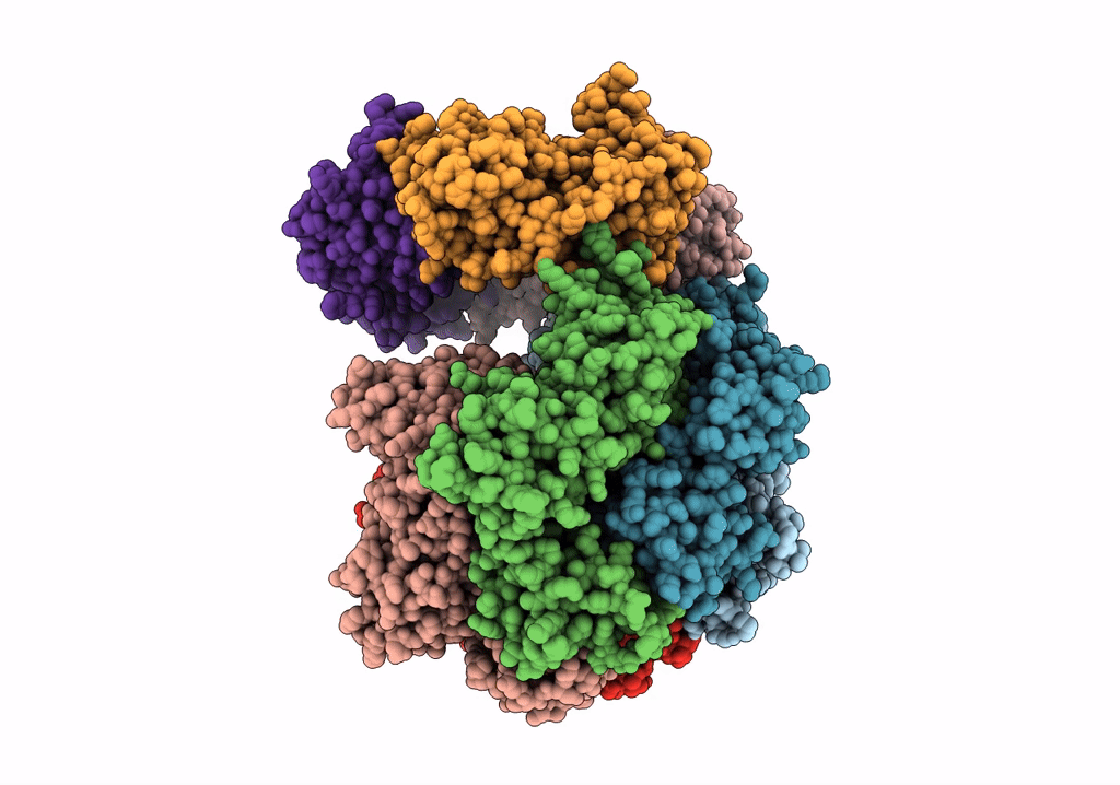 7THV image