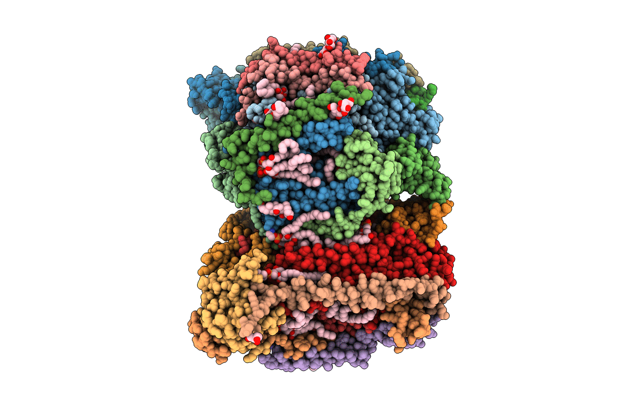 7TII image