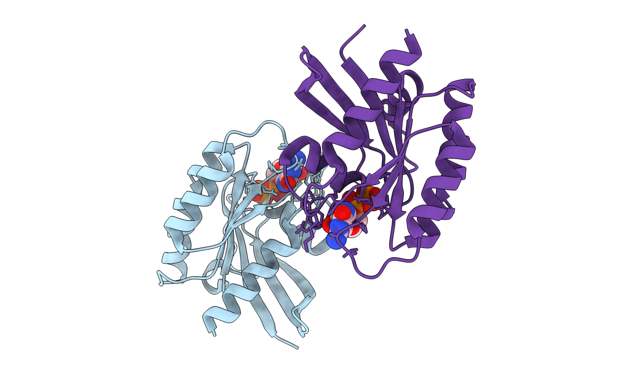7TLK image