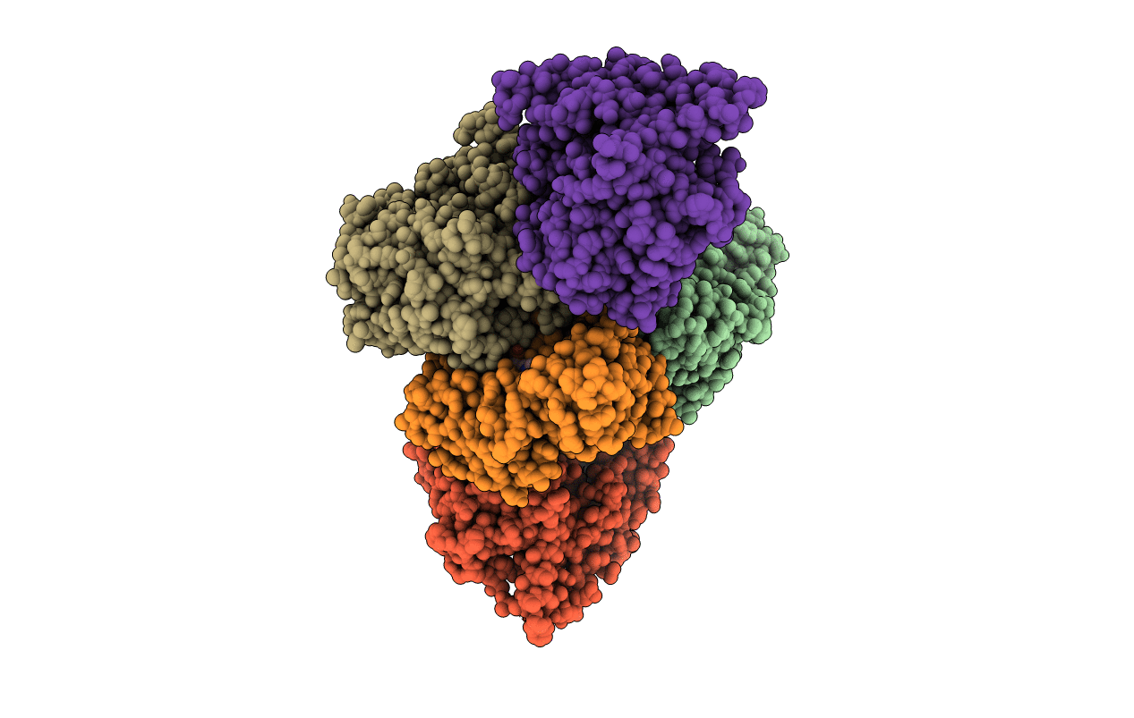 7TLP image
