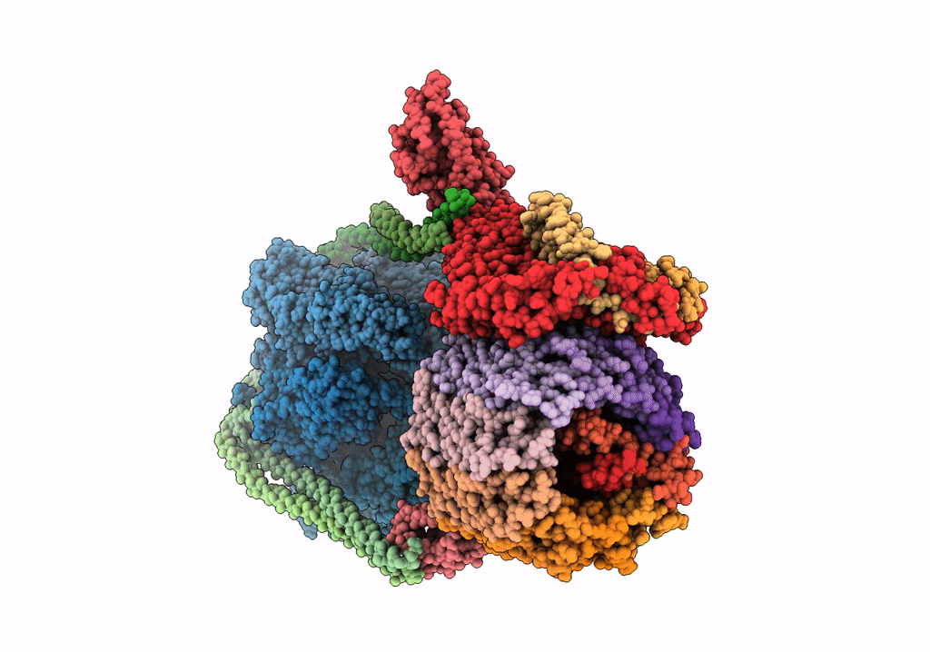 7TMS image