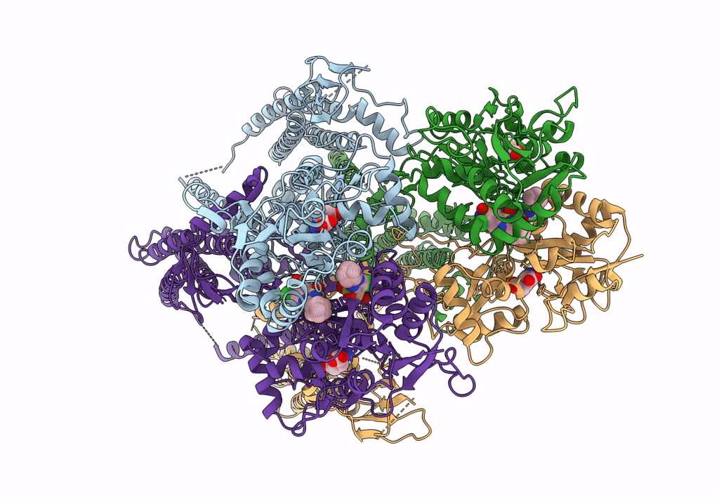 7TNP image