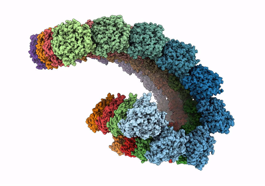 7TNT image