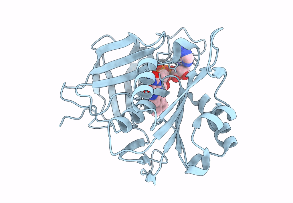 7TNV image