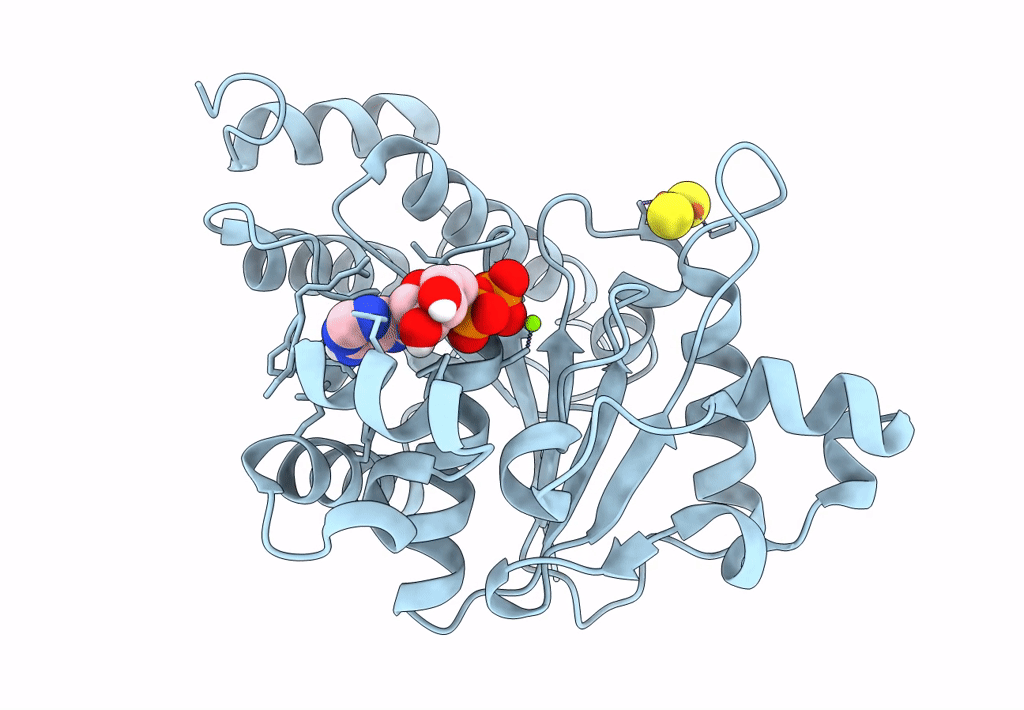 7TPV image