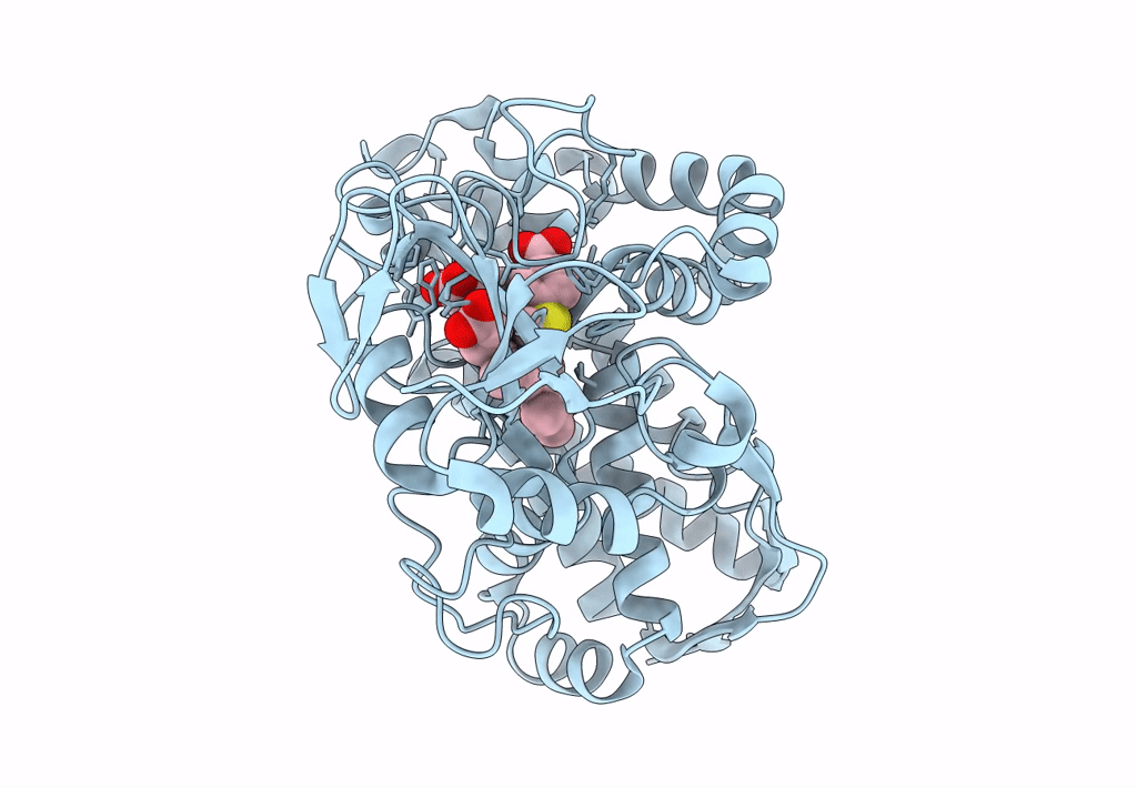 7TQM image