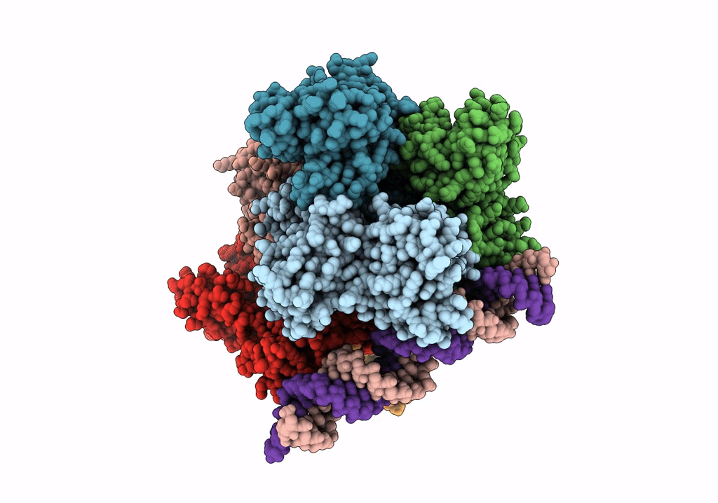 7TQV image
