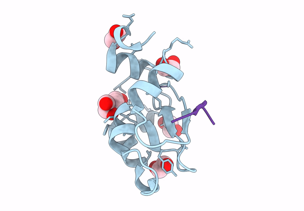 7TRL image