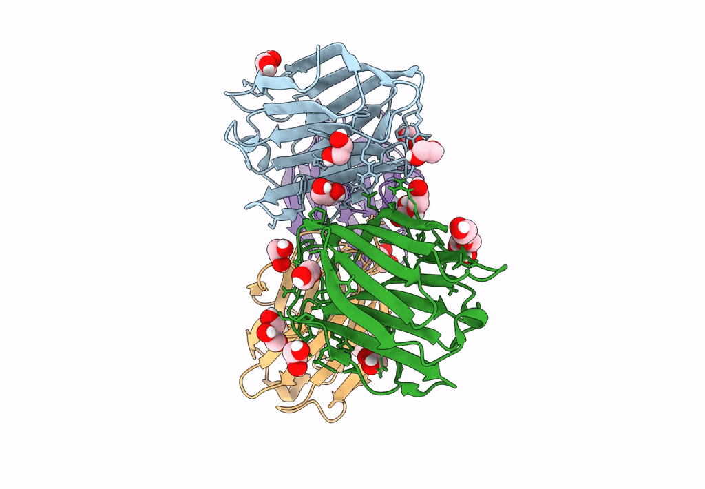 7TRN image