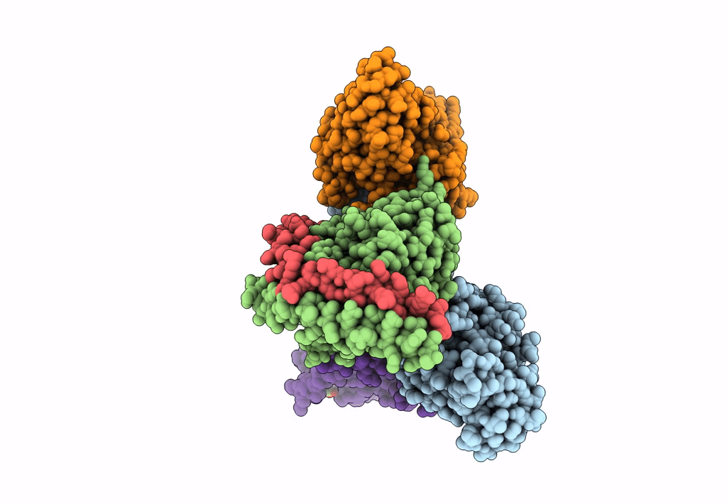 7TRQ image
