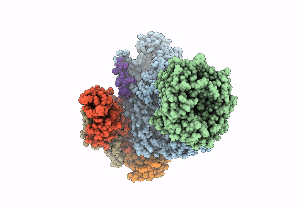 7TT2 image