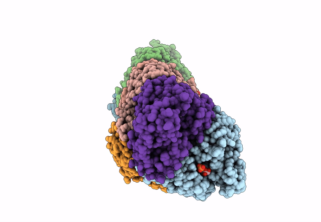 7TXA image