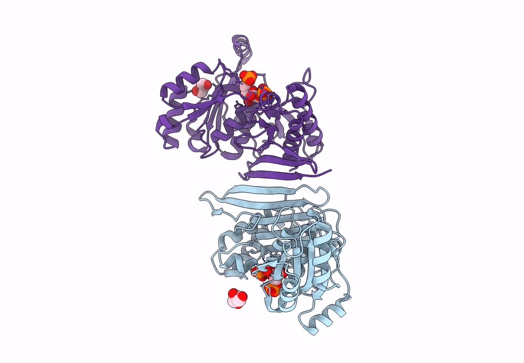 7TXB image