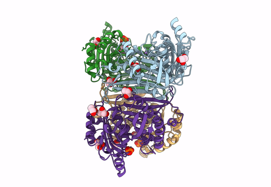 7TXG image