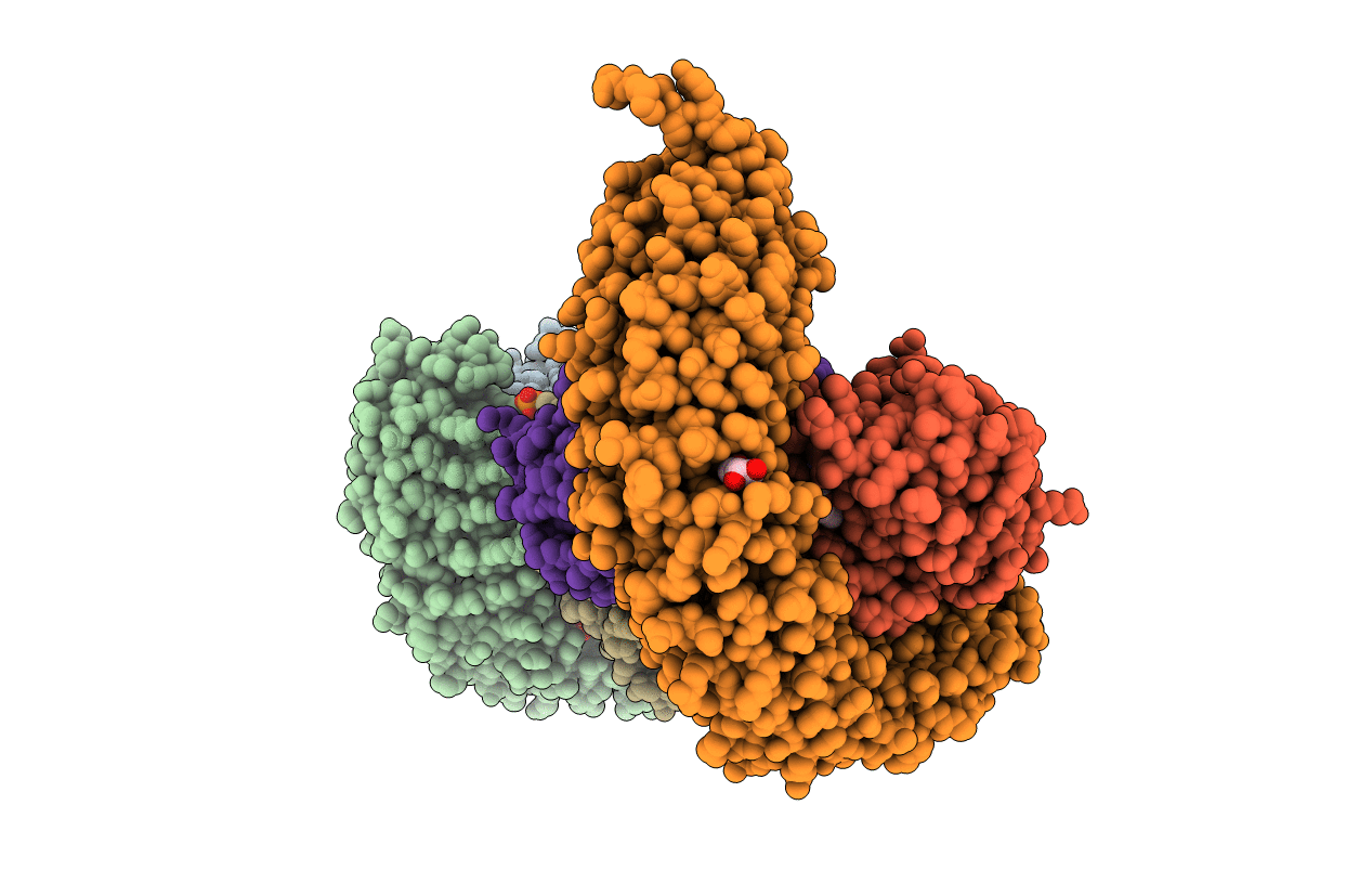 7TXH image