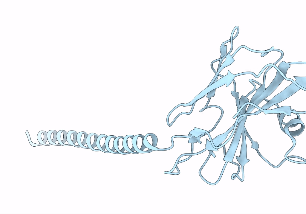 7TXI image