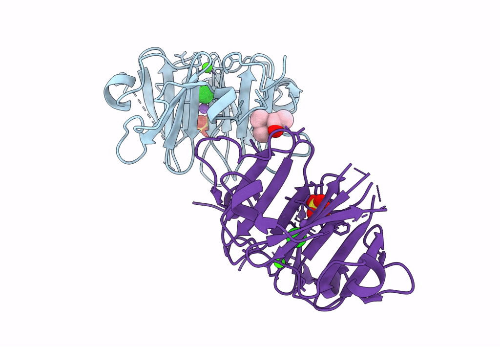 7TXR image