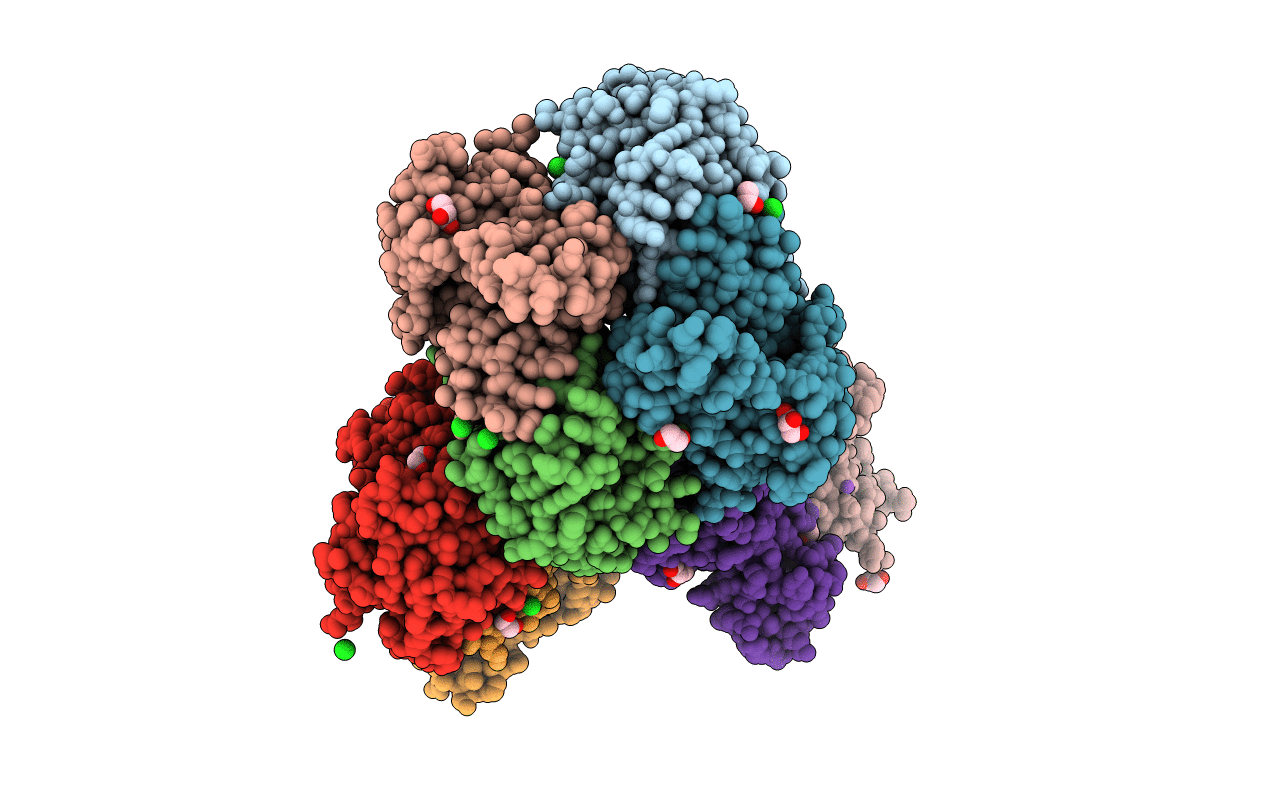 7TZP image
