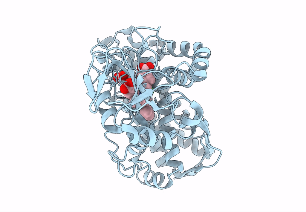 7TZX image