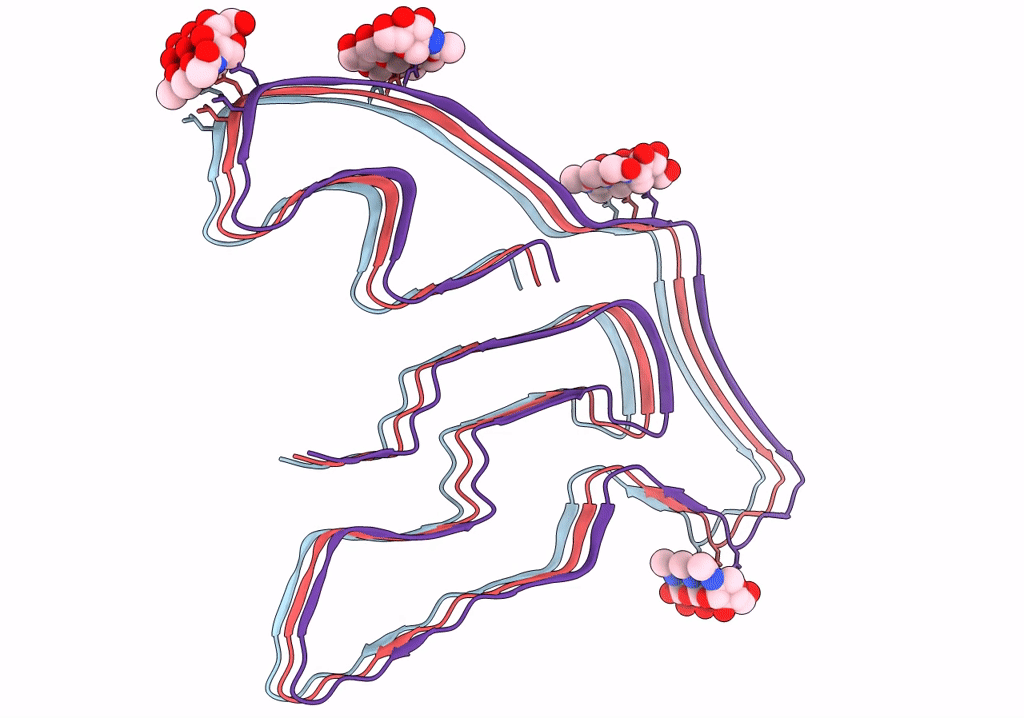 7U11 image