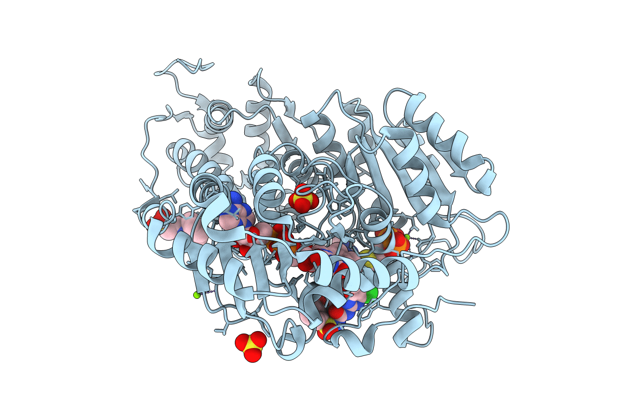 7U1D image