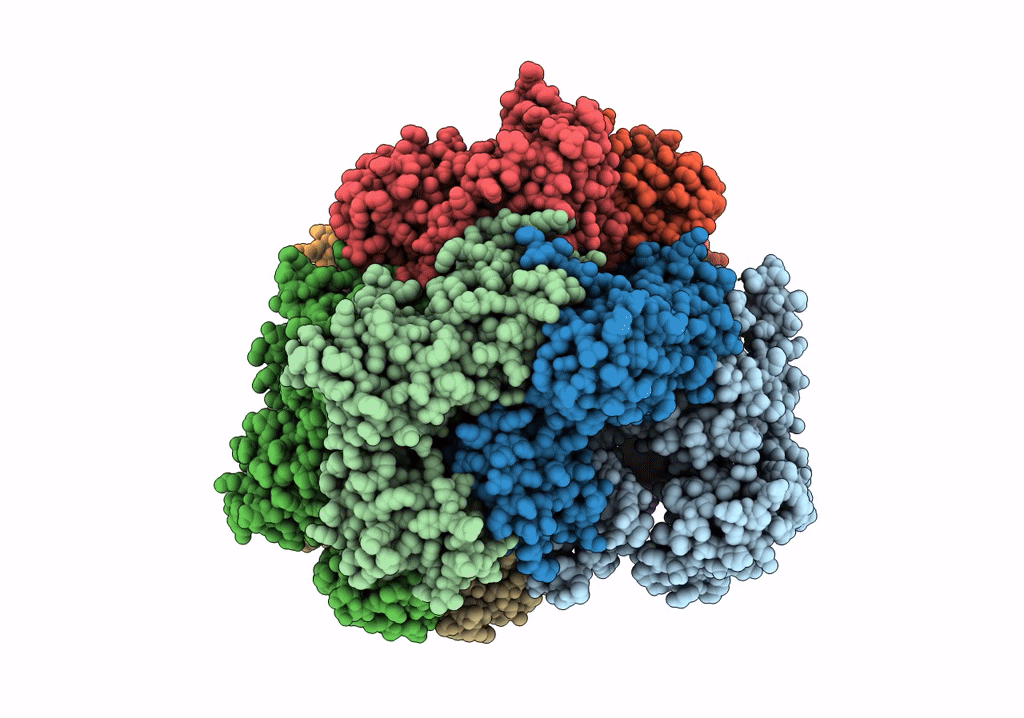 7U1P image