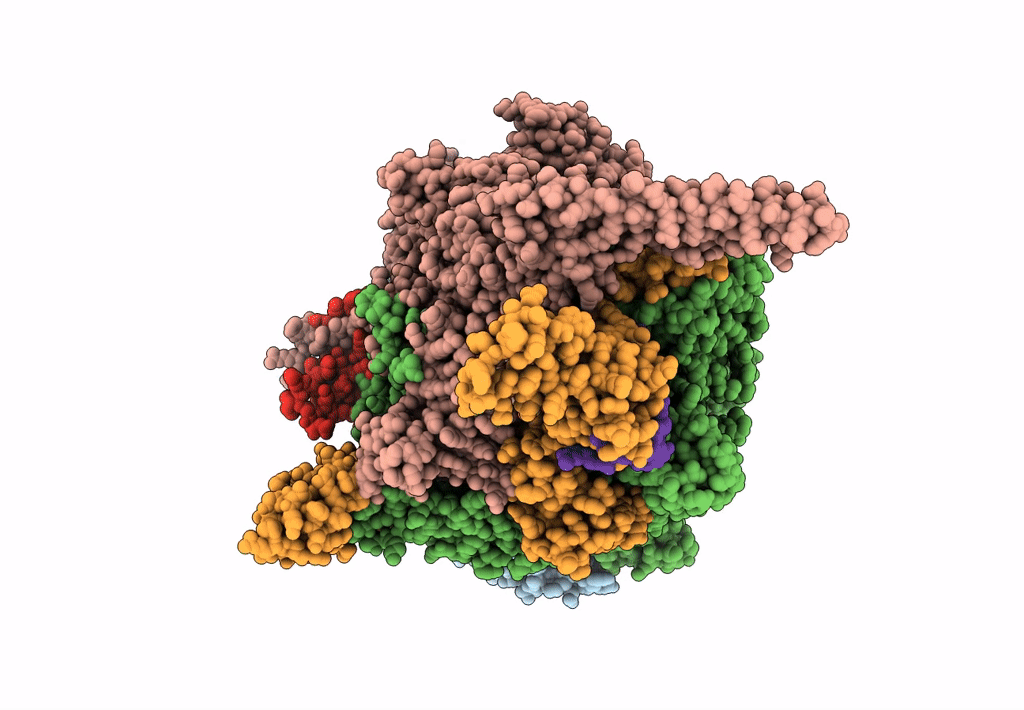 7U22 image