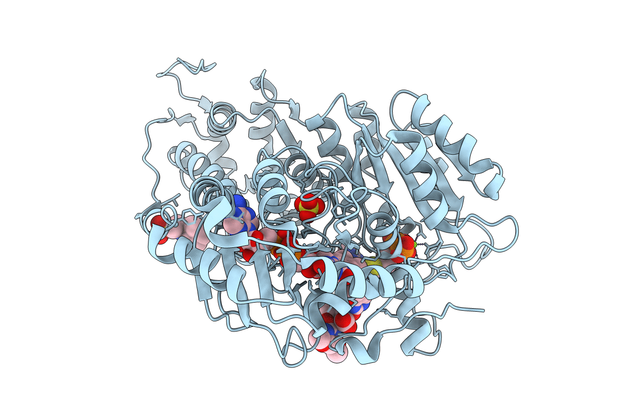 7U25 image